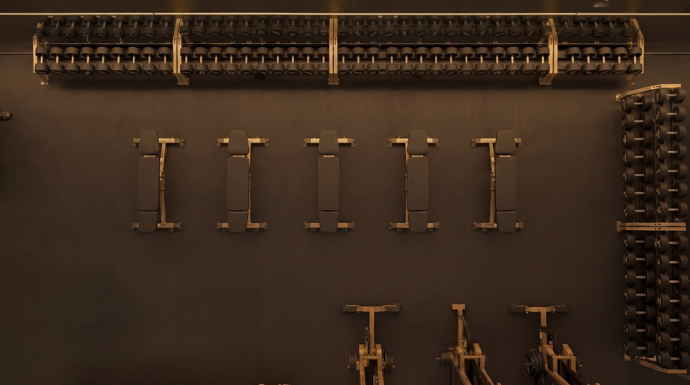 Inside Ryse Athletic Club
