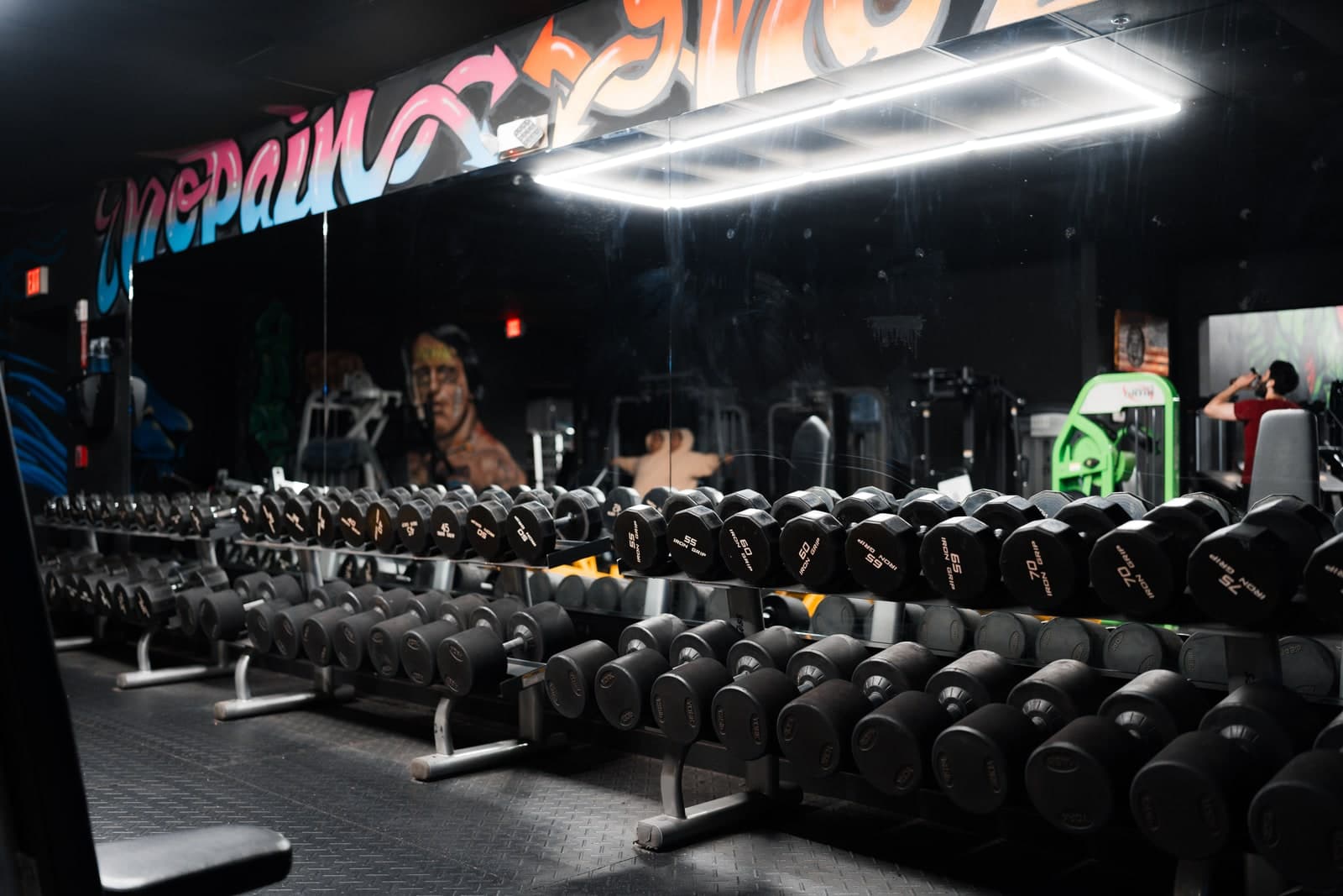 Dumbbell Section at Ryse Athletic Club